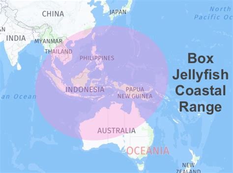 box jellyfish range distribution|different types of box jellyfish.